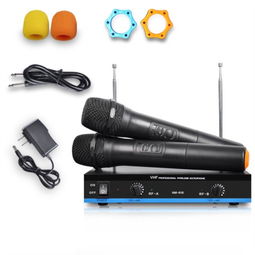 紐曼NM 616 一麥多用，暢享無線K歌與專業擴音新體驗